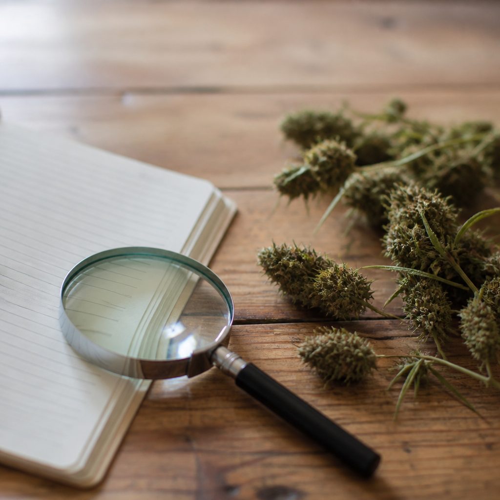 Une table de cuisine en bois près d'une fenêtre, avec un classeur de recettes annotées, des photographies légendées et un stylo posé sur une brochure administrative, lumière naturelle de milieu de matinée, cadrage serré en plongée légère.